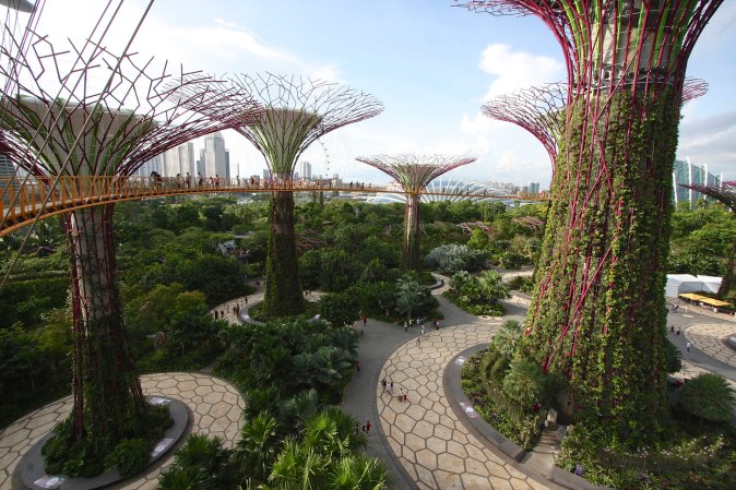 1920px-OCBC_Skyway,_Gardens_By_The_Bay,_Singapore_-_20140809